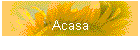 Acasa